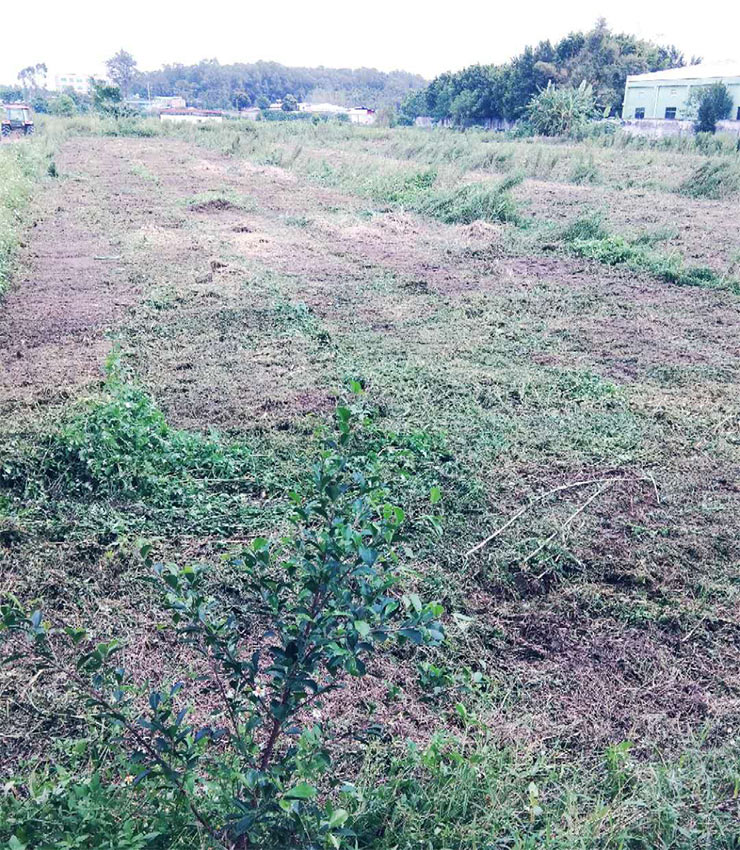 首页 | J9集团有限公司官网