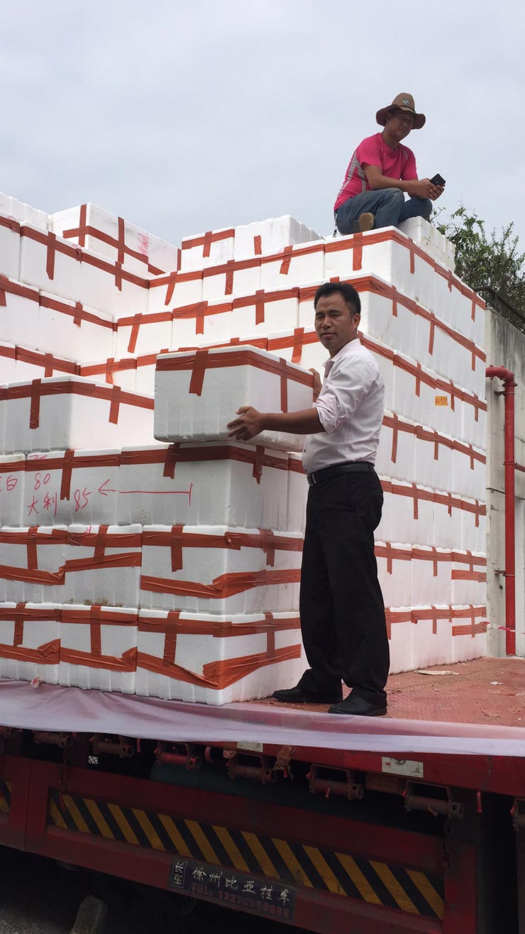 首页 | J9集团有限公司官网