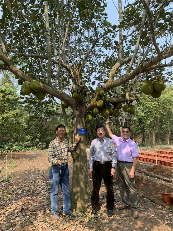 首页 | J9集团有限公司官网