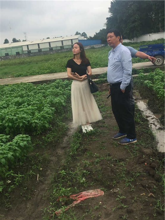 首页 | J9集团有限公司官网