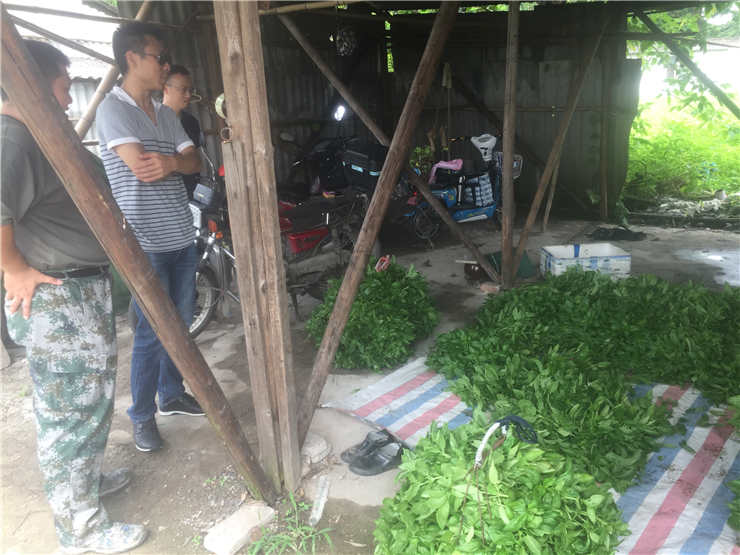 首页 | J9集团有限公司官网