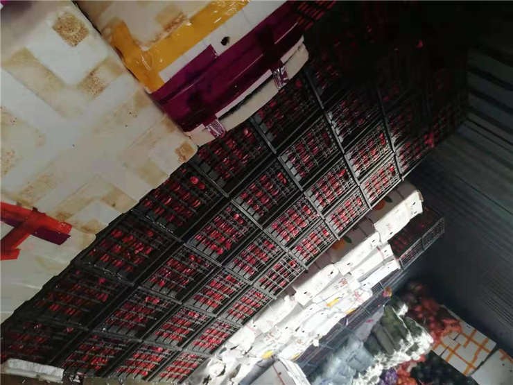 首页 | J9集团有限公司官网