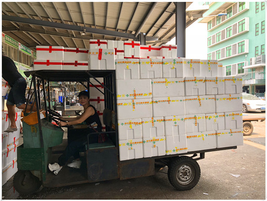 首页 | J9集团有限公司官网