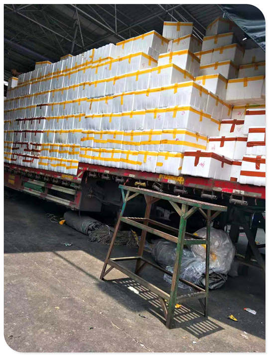 首页 | J9集团有限公司官网